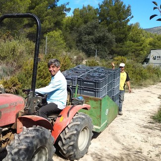 Entrevista a Miguel Orts - Cómo enfrentan las bodegas familiares la crisis por la pandemia