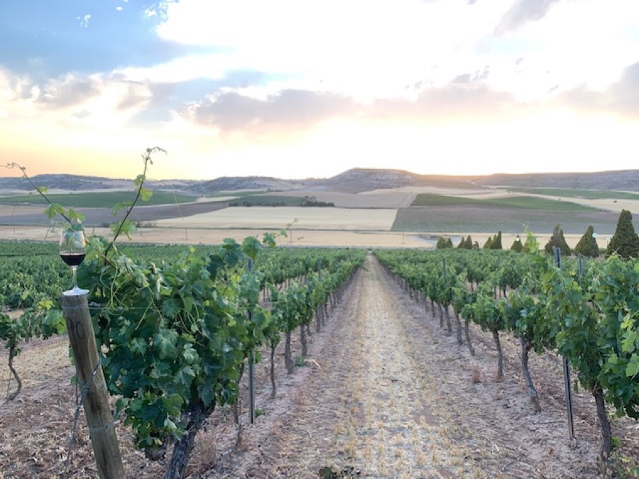 Ribera del Duero lanza #VolveremosaBrinBAR, una campaña para disfrutar del vino en casa