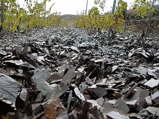 Mineralidad: ¿mito o realidad?