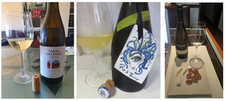 Resumen V Quedada de Foro de vinos: Cata vinos elaborados con la uva chardonnay
