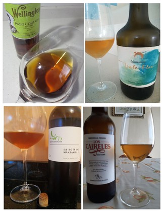 Resumen VI Quedada de Foro de vinos: Cata generosos
