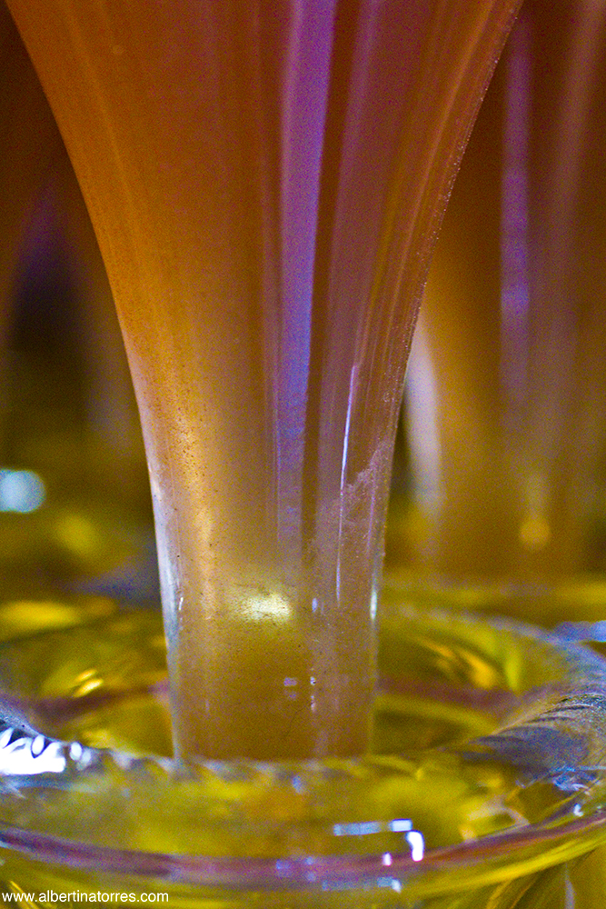 botellas