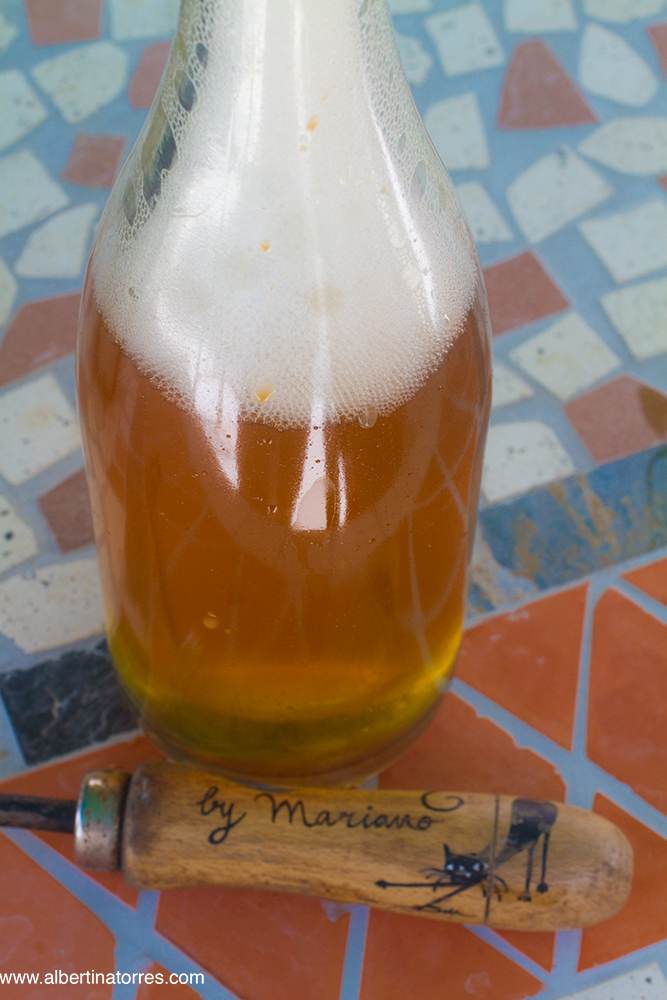 botella