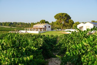 Finca Cor Ví