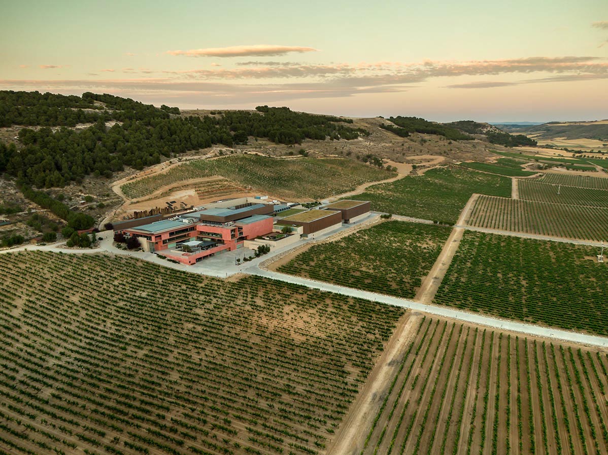 International Wineries for Climate Action incorpora a Alma Carraovejas y Silver Oak