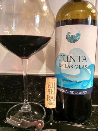 Punta de las Olas Tempranillo Crianza 2015, DO Ribera del Duero