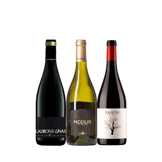 La DO Utiel-Requena selecciona sus últimos vinos representativos de 2020