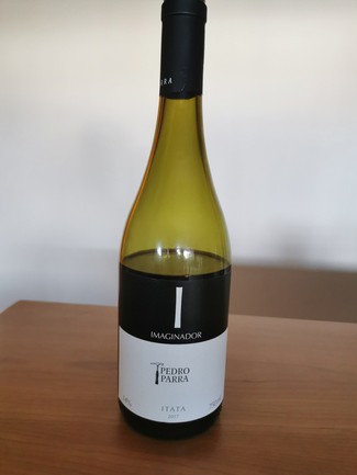 Pedro Parra Imaginador 2017