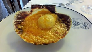 Vieira a la gallega con D.O.