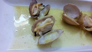 Detalle tamaño almeja