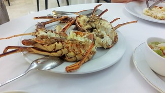 Resto de la langosta para emplatar