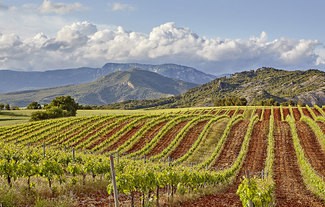 Las Bodegas de la DO Navarra obtienen grandes resultados en el certamen Mundus Vini