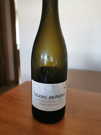 Terra Remota Caminante 2018