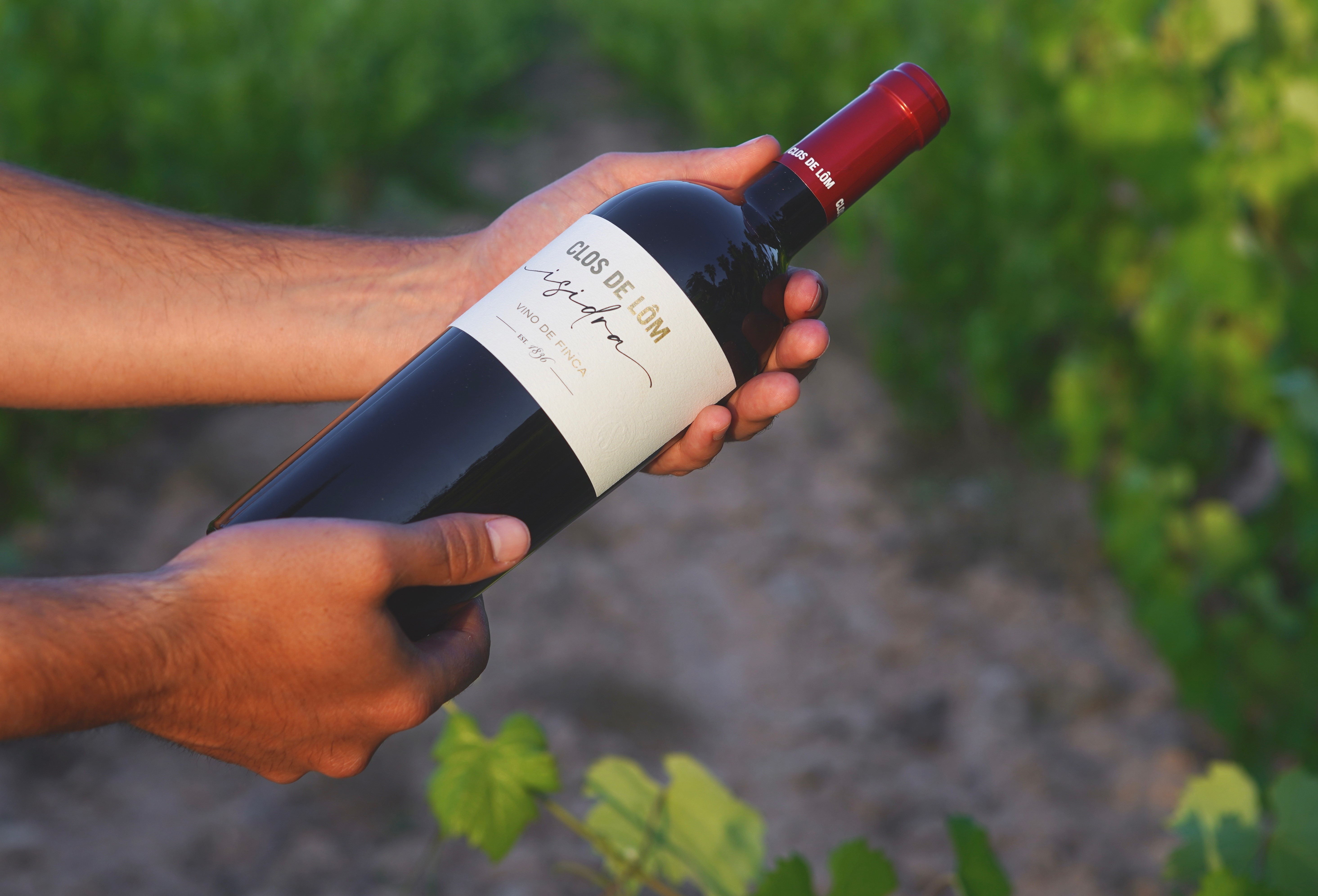 Clos de Lôm Isidra 2018,  o cómo se construye el futuro recuperando lo mejor del pasado