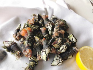 Increíbles percebes