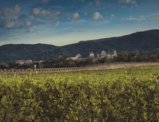 Grans Muralles 2016 de Familia Torres, entre los 50 mejores vinos del mundo según los premios Decanter