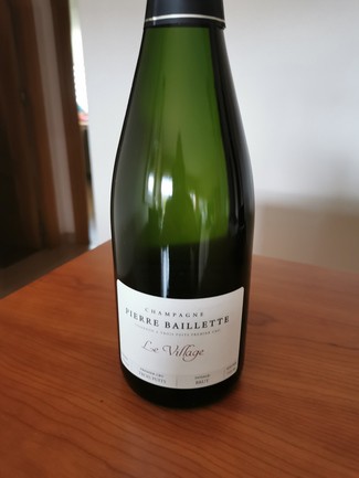 Pierre Baillette Le Village Brut
