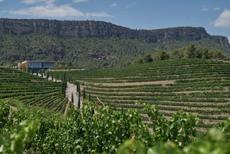 Salmos 2016 de Familia Torres, mejor vino  con DOQ Priorat según los Premis Vinari