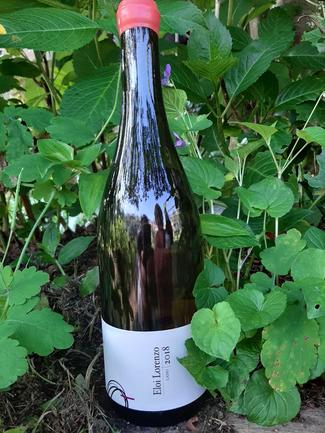 Eloi Lorenzo Lado 2018