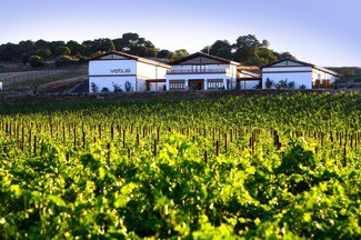 Vetus, primera bodega de Toro en Wineries for Climate Protection