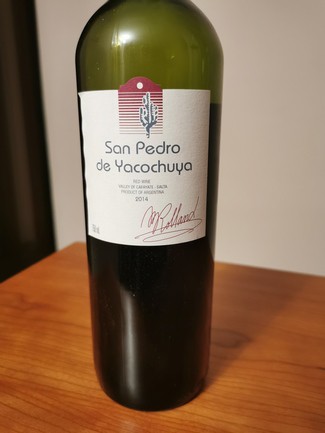 San Pedro de Yacochuya 2014