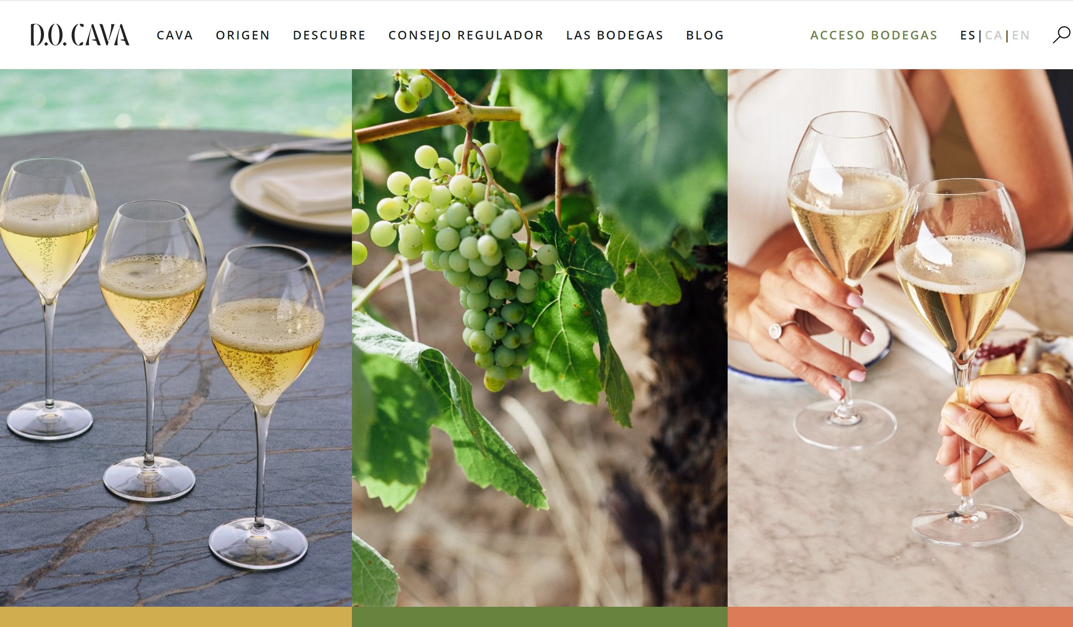 La D.O. Cava lanza nueva página web y eleva aún más las calidades del Cava