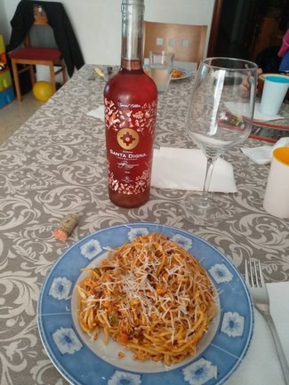 Santa digna rose 2019