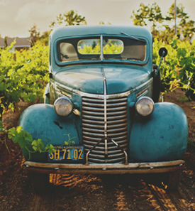 ¡El 14 de Noviembre te vamos a sorprender!