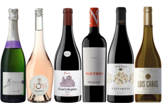 Selección de vinos Navidad 2020