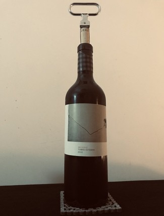 Tomás Esteban 2010 2010