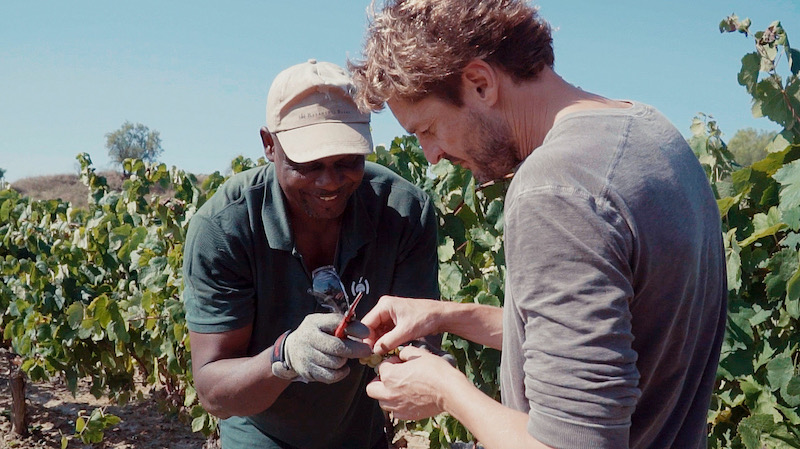 El Vino Ciutat Nua. Un proyecto de Raventós i Blanc más allá de las paredes de Can Brians