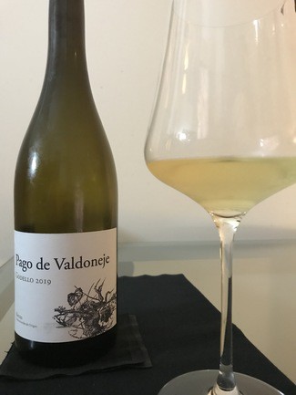 Pago de Valdoneje Godello 2019 2019