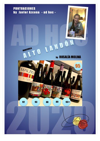 Puntuaciones de novedades de ALTO Landón ad hoc