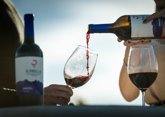 La DOP Jumilla brilla con 52 medallas en el concurso “The Autumn blind Tastings” de The Drink Business