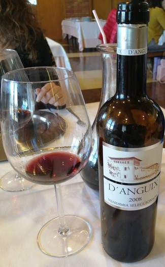 D'anguix Vendimia seleccionada reserva 2008