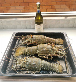 3 langostas de 2 Kgs en total