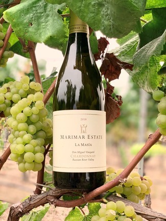 Los vinos de Marimar Torres brillan  en los Chardonnay Masters 2020