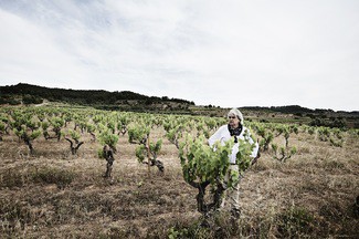 Edetària lanza Via Edetana Blanc 2019, su primer vino ecológico certificado