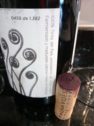 Magna Vides 2012, DO Ribera del Duero