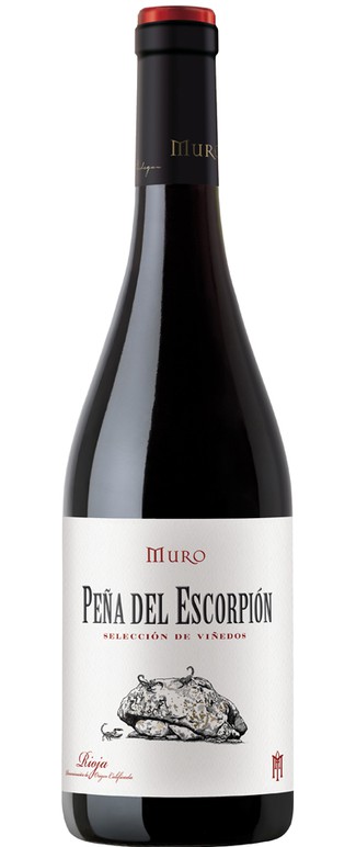 Muro Peña del Escorpión 2017