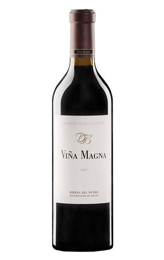 Viña Magna 2017