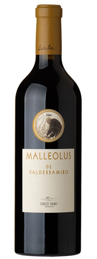 Malleolus de Valderamiro 2016