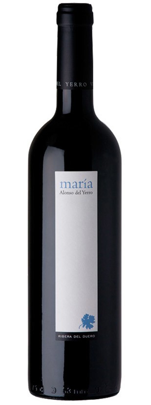 Maria Alonso del Yerro 2015