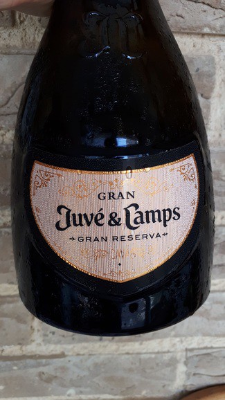 Gran Juvé i Camps Gran Reserva Brut 2014 2014