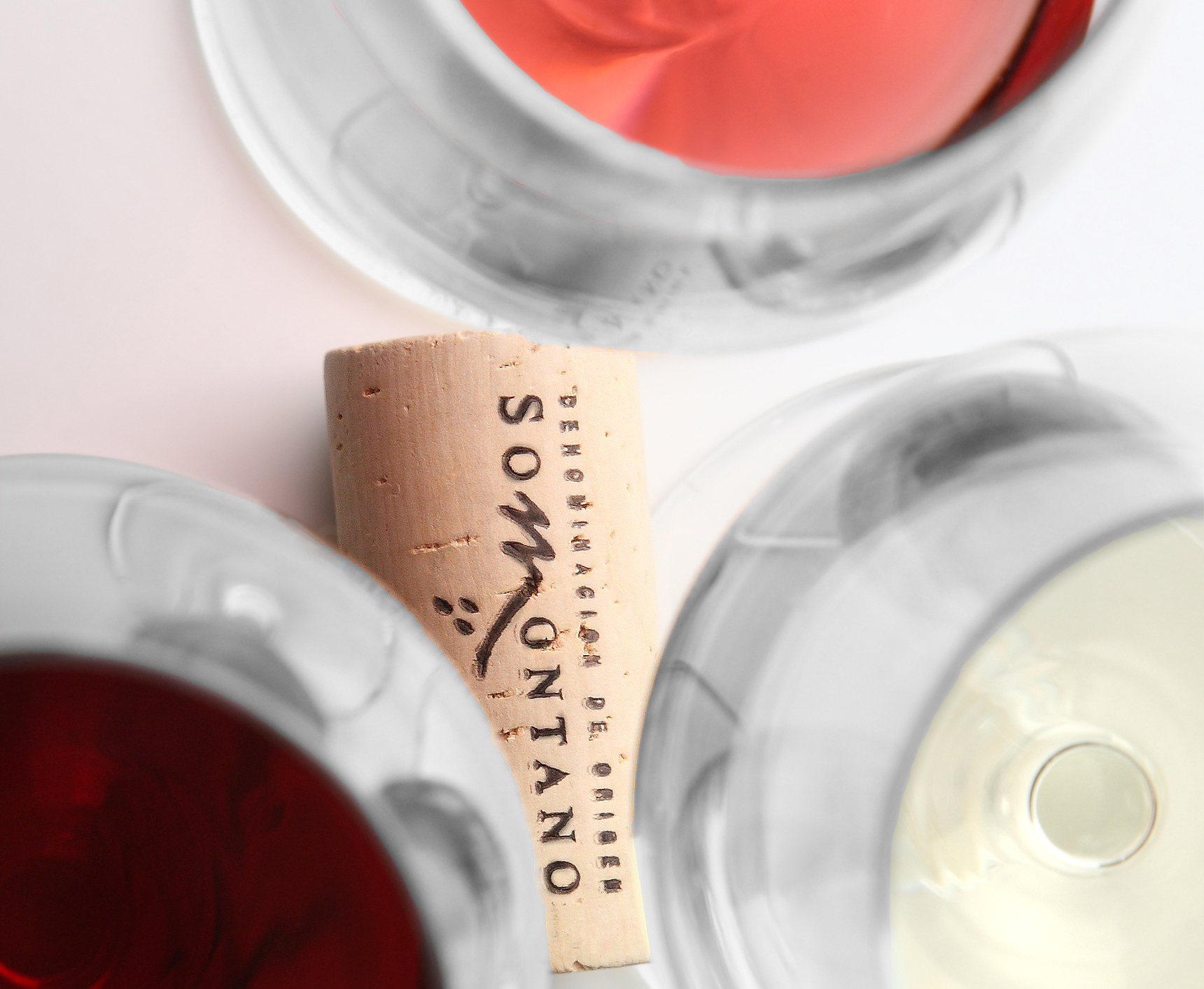 Segunda añada consecutiva calificada como EXCELENTE, de los Vinos DOP Somontano