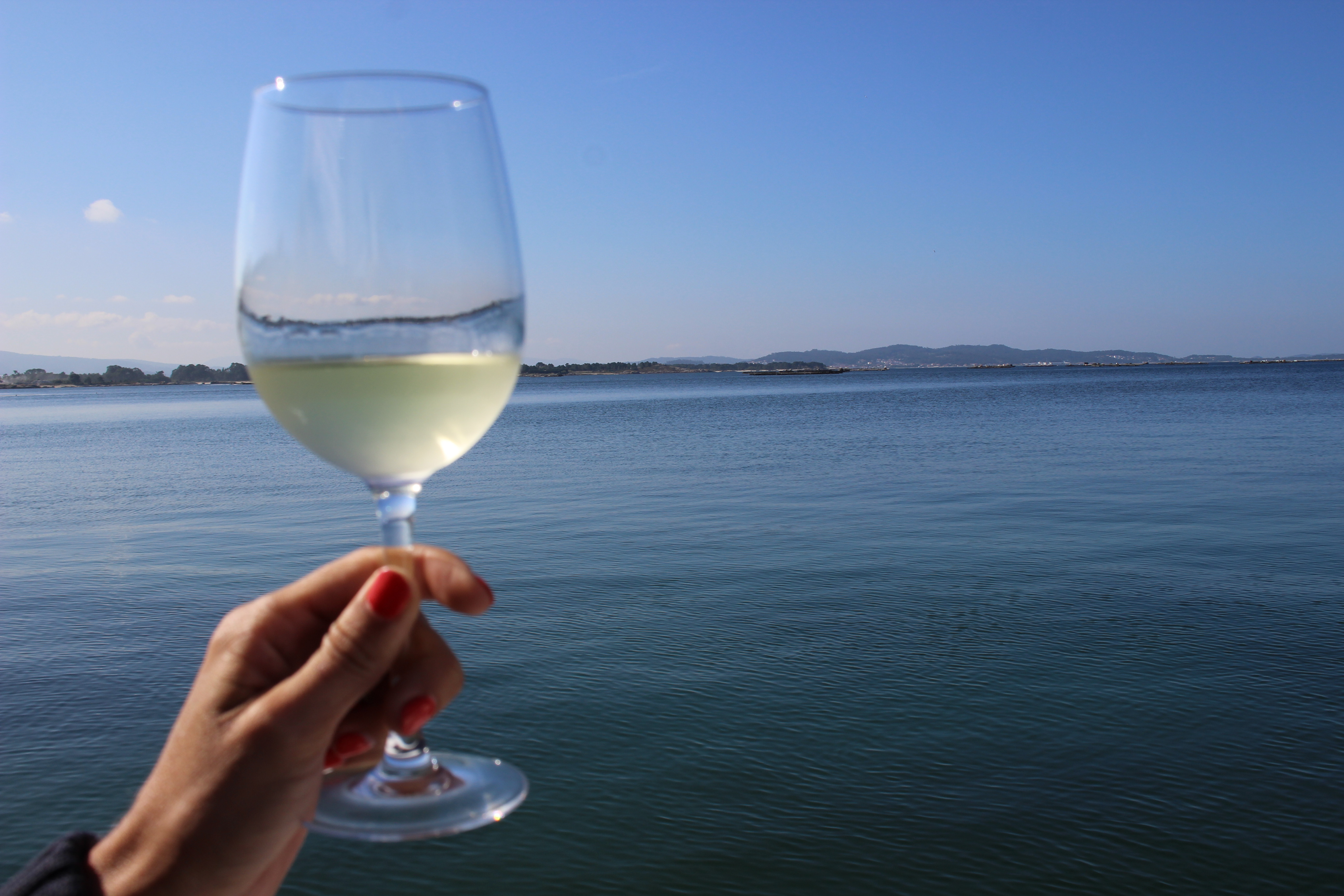 La Denominación de Origen Rías Baixas en pro del consumo moderado y responsable de vino