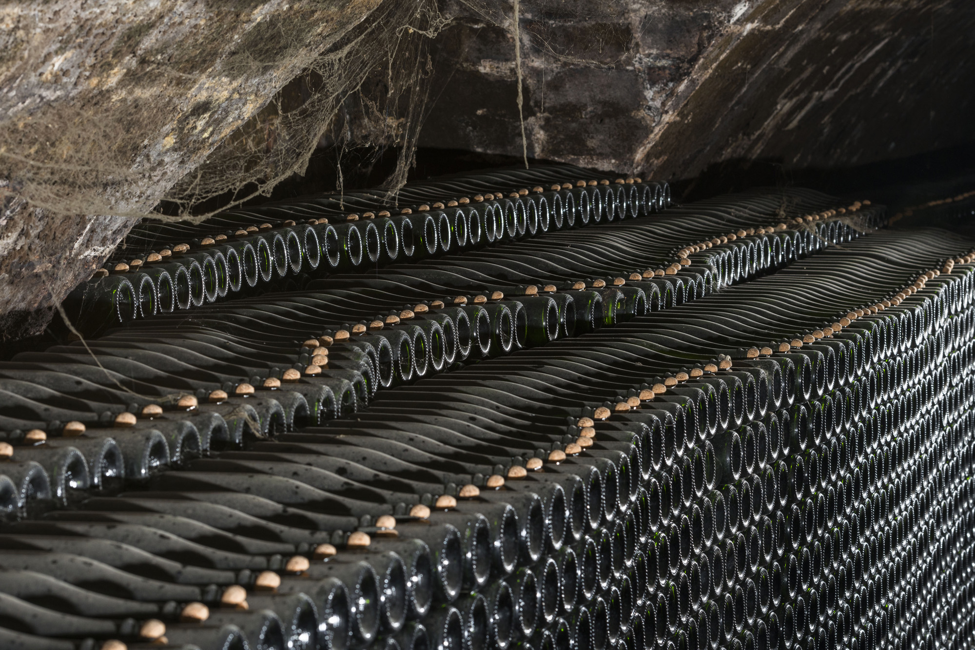 Gramona es la bodega del país mejor valorada por la Master of Wine, Jancis Robinson