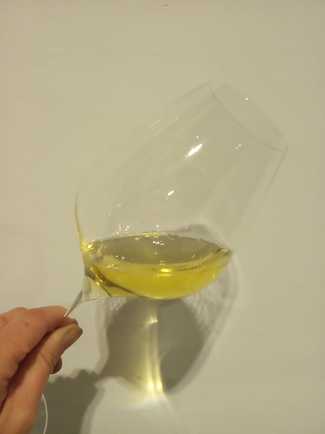 Oloron Chardonnay 2019