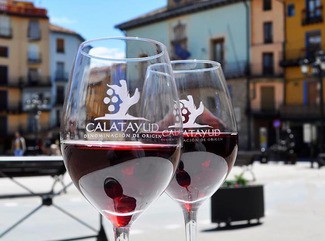 El Panel de Cata de la D.O.P. Calatayud califica los vinos de guarda de la añada 2019.