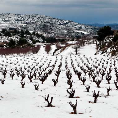 Pieza La Moza, el nuevo rosado de montaña de Baldovar 923